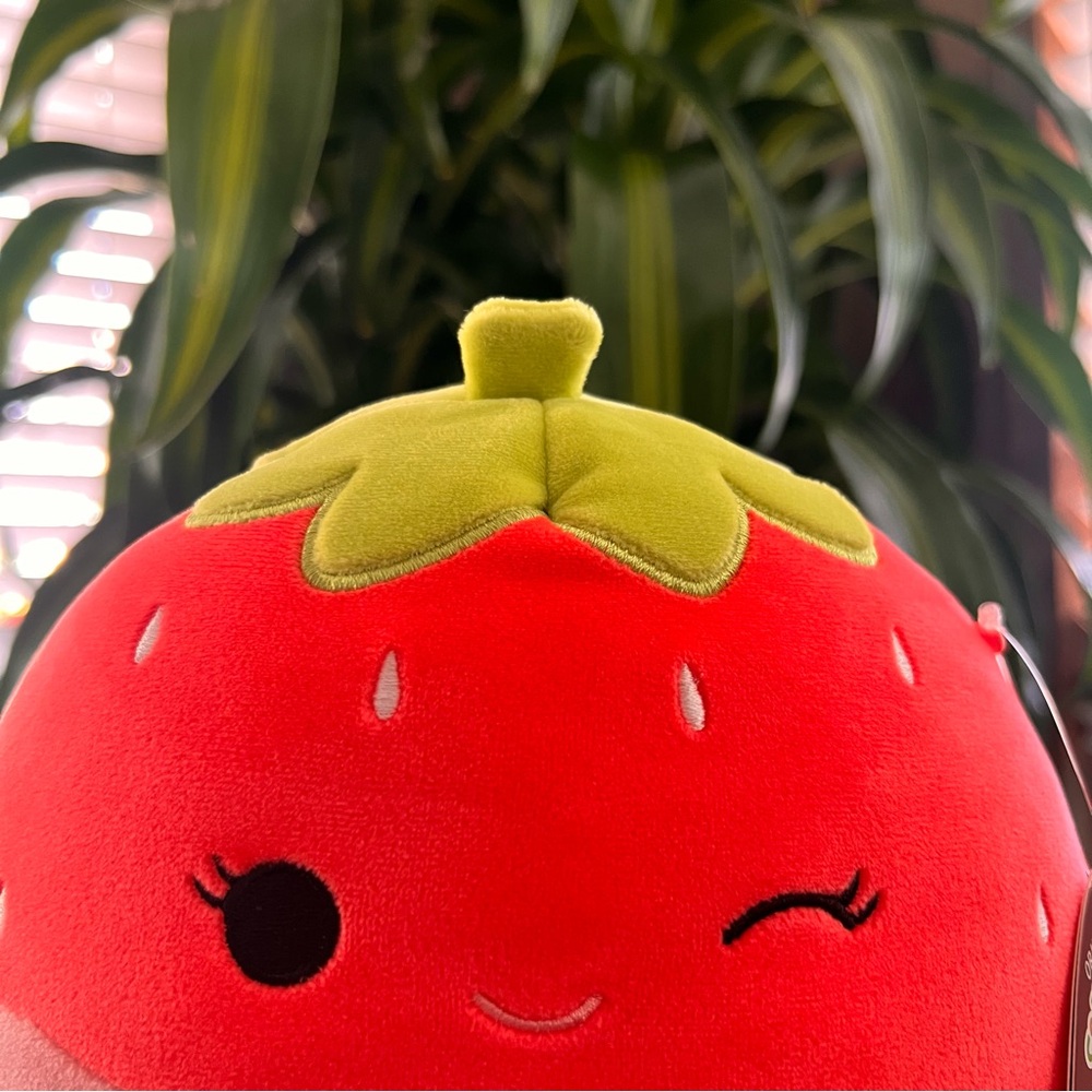 Squishmallows! - Picture 11 of 14